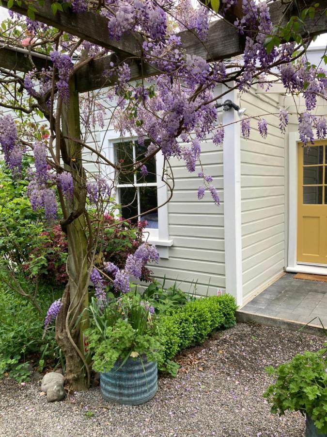 Country Bliss Cottage Greytown Kültér fotó
